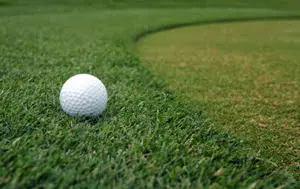 A golf ball is on the grass near a curve.