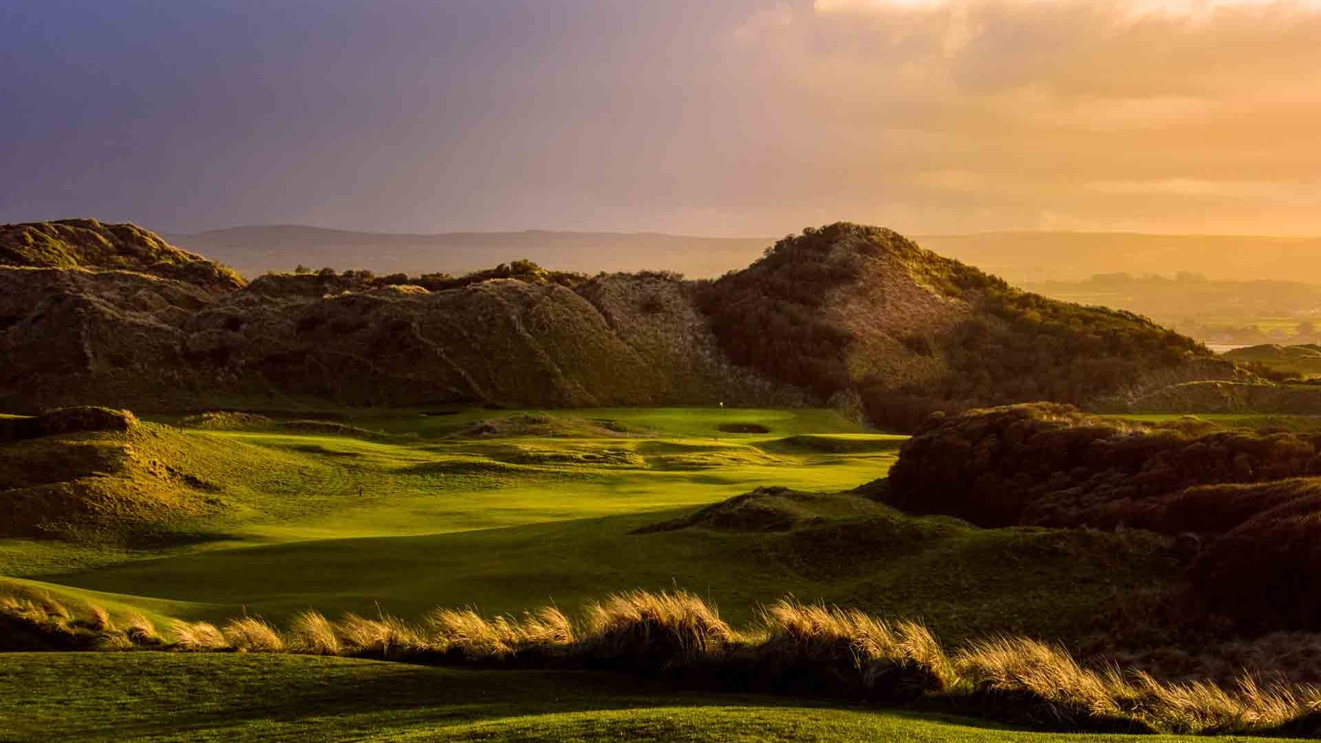 A golf course with a green and some grass