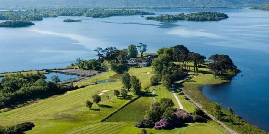 A view of some water and trees from above.